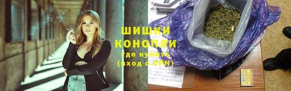 прущие крисы Бородино