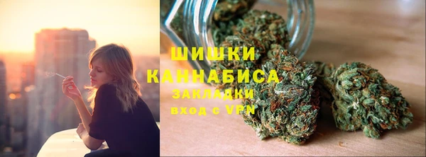 шишки Бронницы