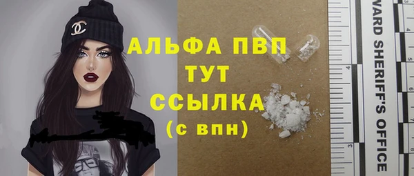 прущие крисы Бородино