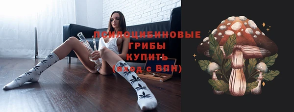 стаф Бугульма