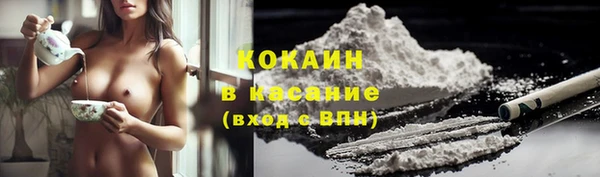 прущие крисы Бородино