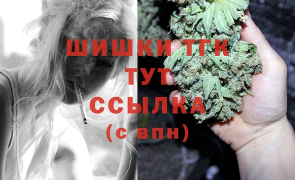 шишки Бронницы