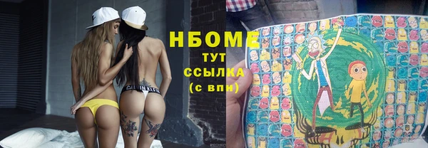 шишки Бронницы