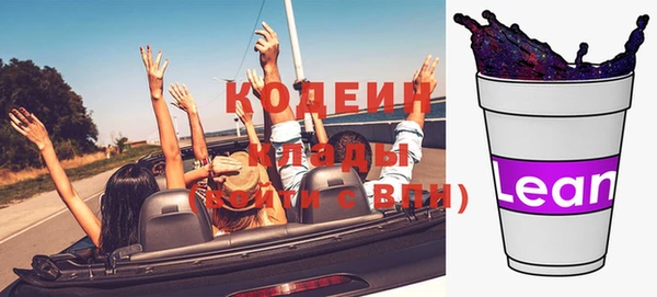 шишки Бронницы