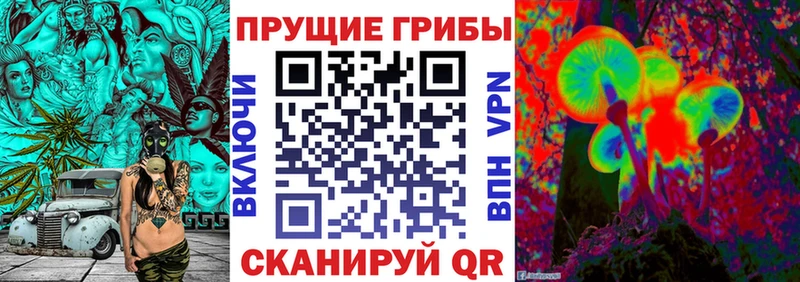 shop формула  закладки  Невель  Галлюциногенные грибы Magic Shrooms  MEGA ONION 